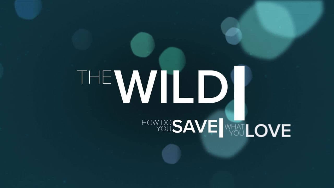 Backdrop – The Wild