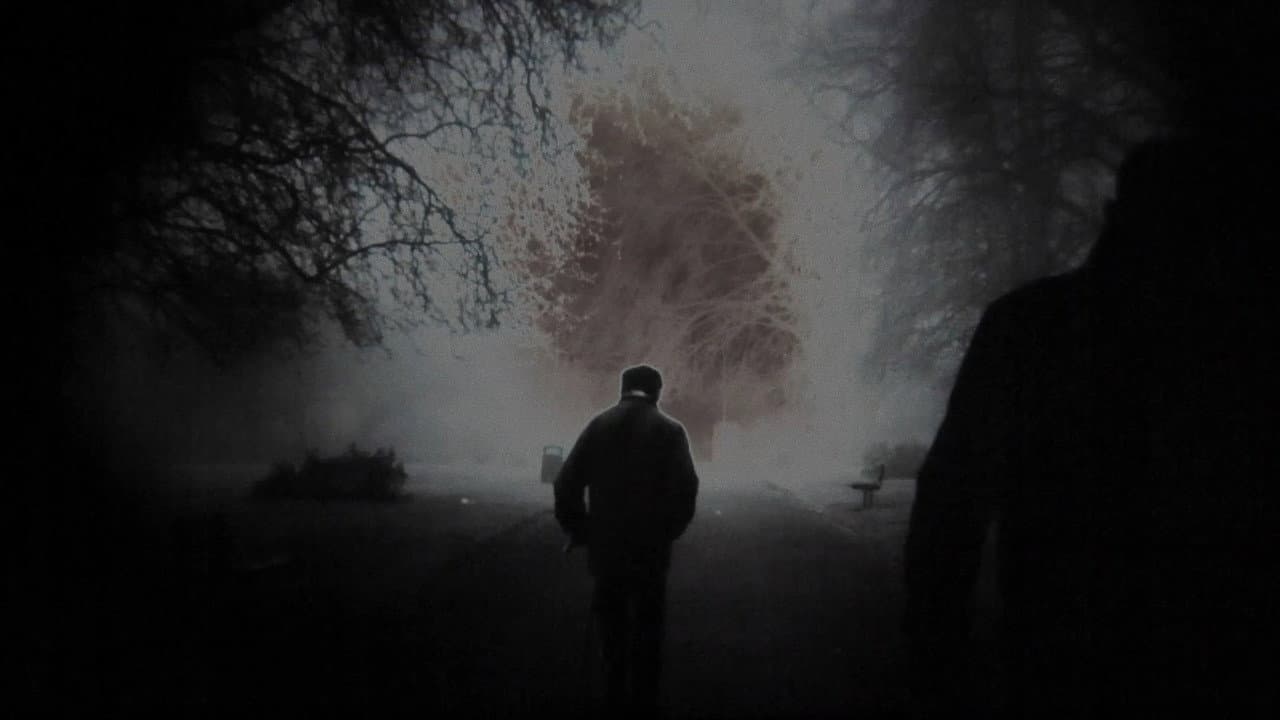 Backdrop – Ten Years In The Sun
