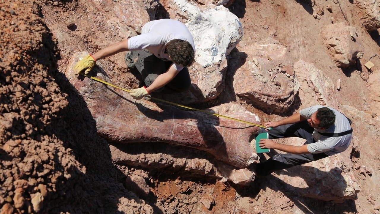 Backdrop – Die Entdeckung der Riesensaurier