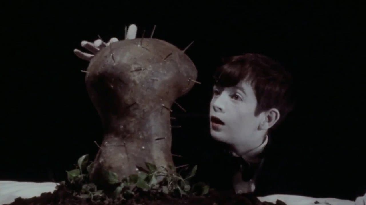 Backdrop – The Grandmother