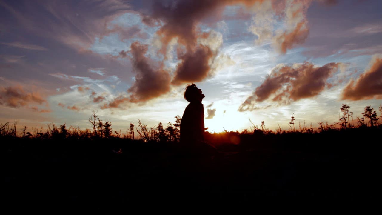 Backdrop – RUN!-3films-