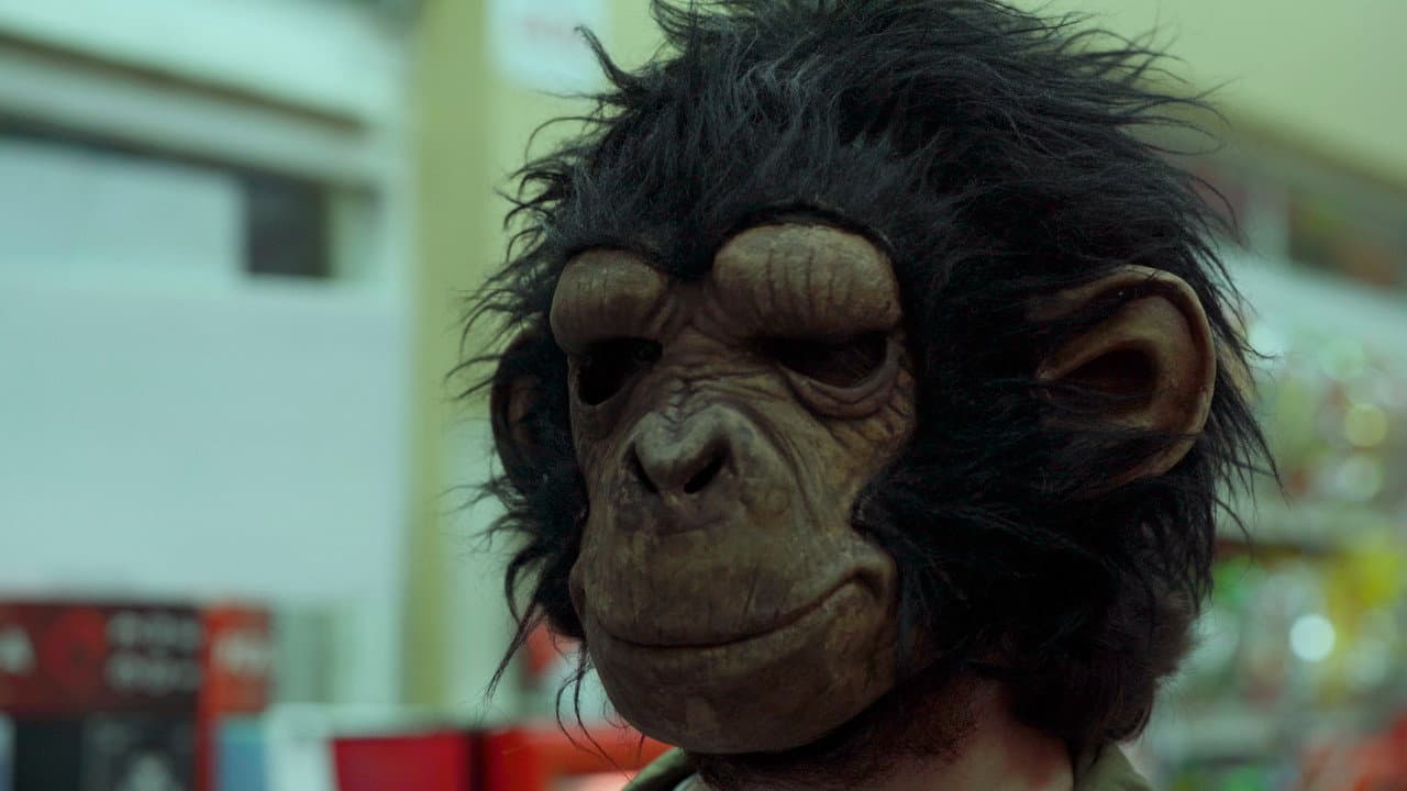 Backdrop – Uno De Muchos