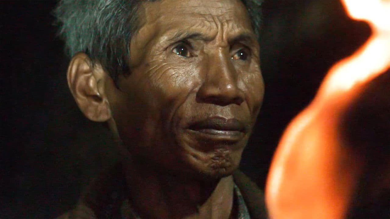 Backdrop – This Little Land of Mines