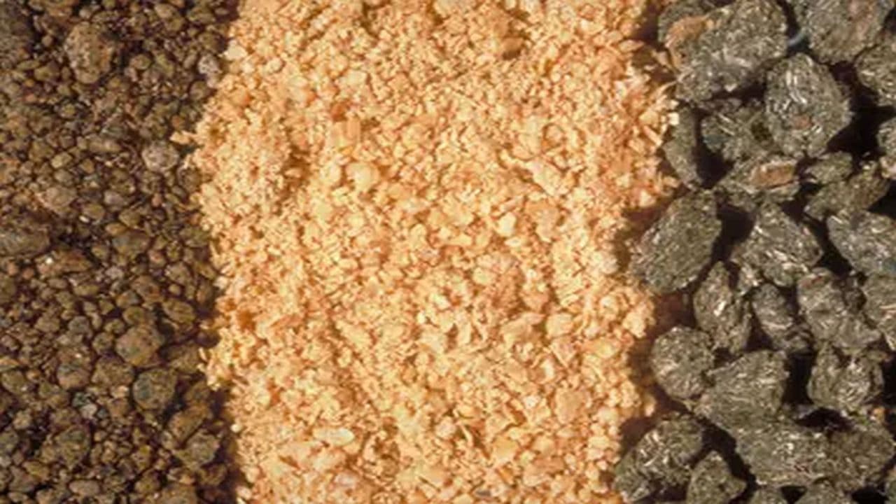 Backdrop – Tod eines Viehzüchters