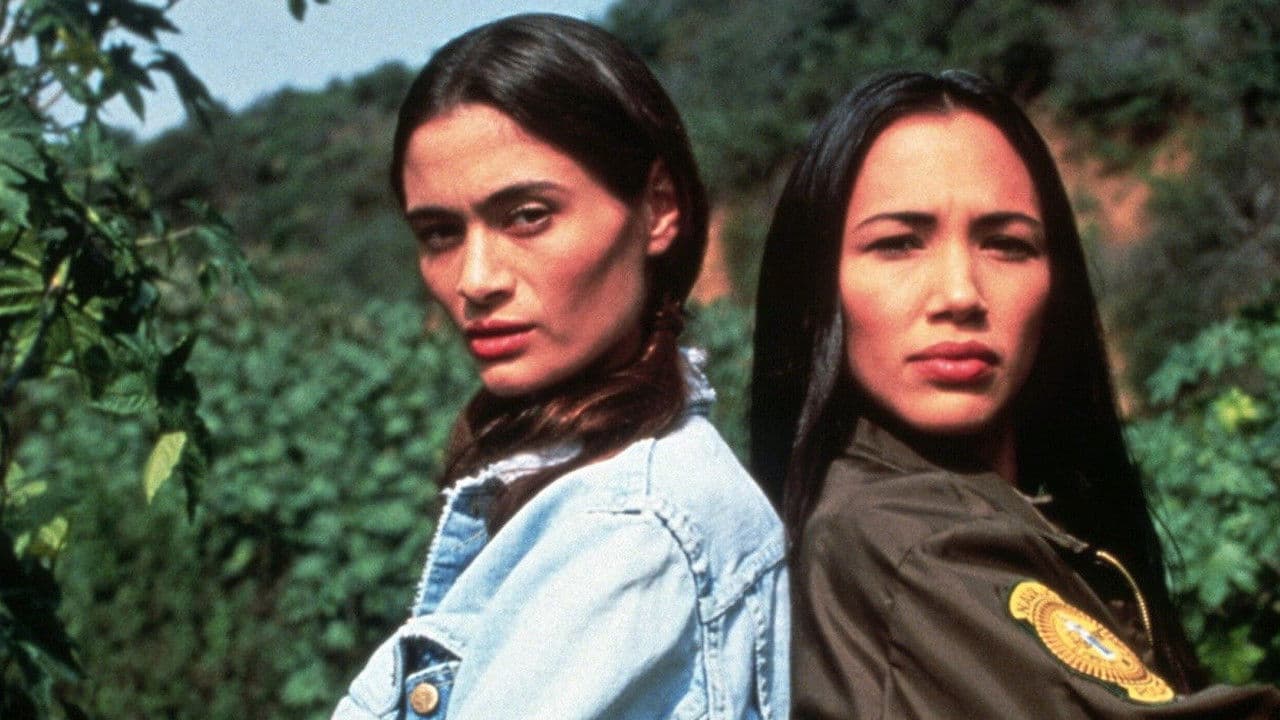 Backdrop – Navajo Blues