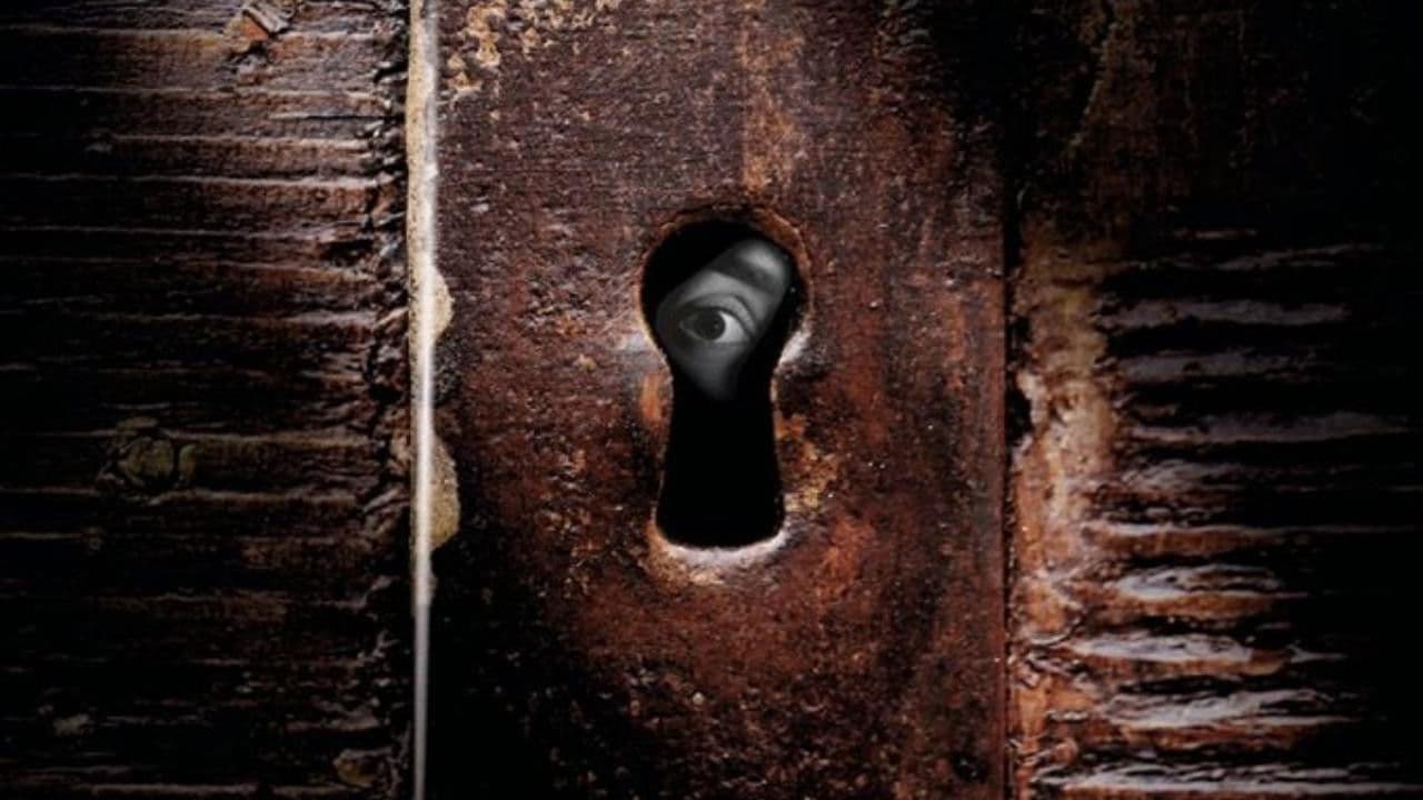 Backdrop – Zabawa w chowanego