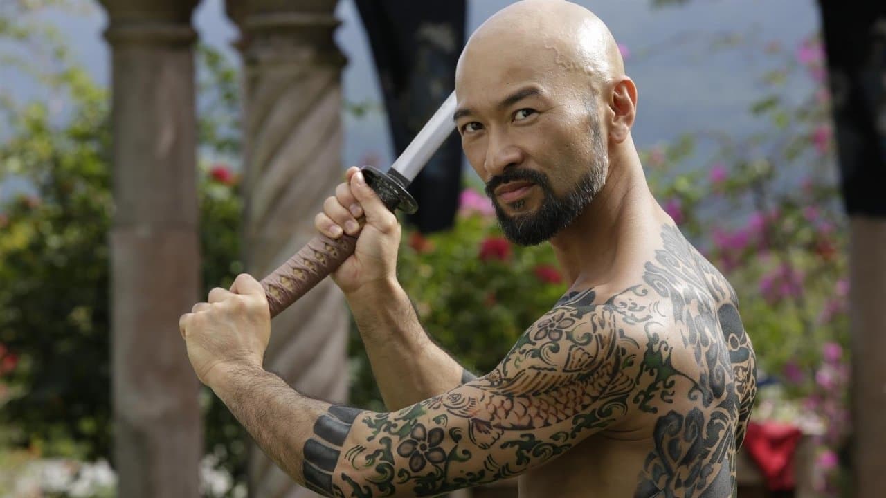 Backdrop – Falcon Rising