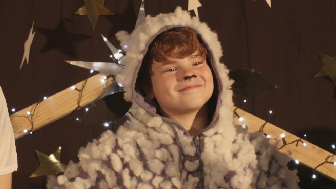 Backdrop – Sheep #3