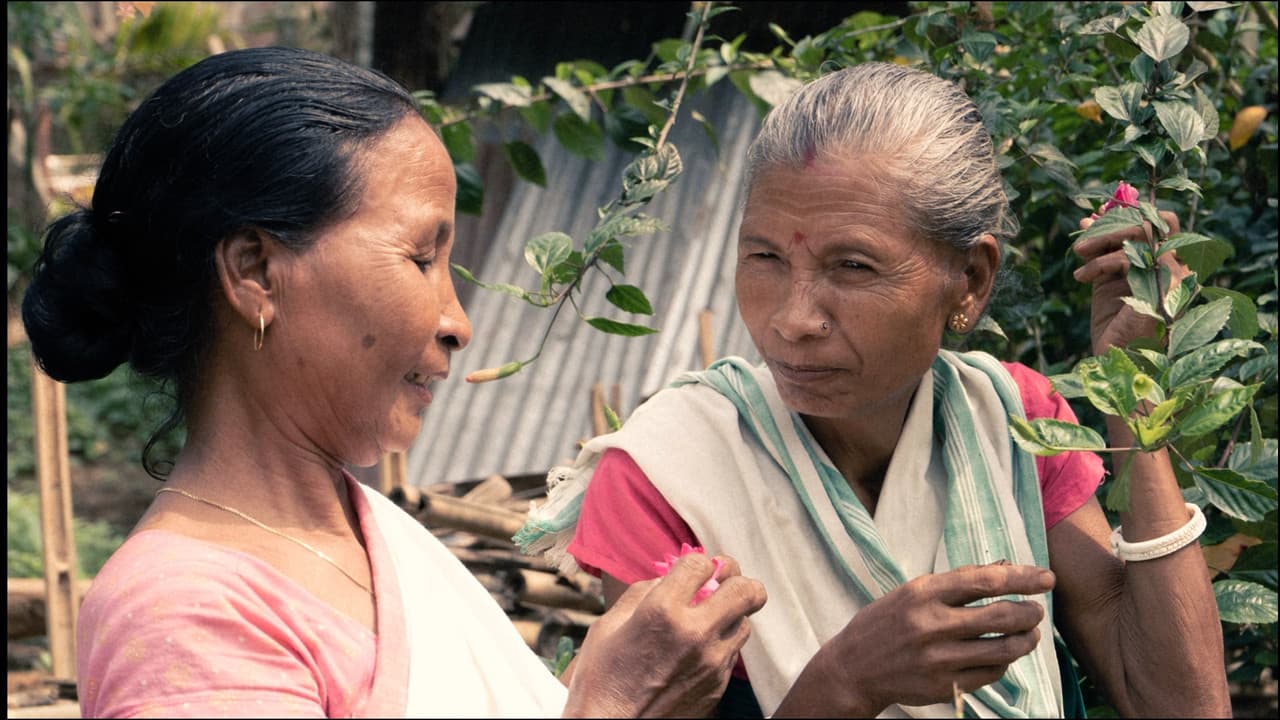 Backdrop – Boi Thaka