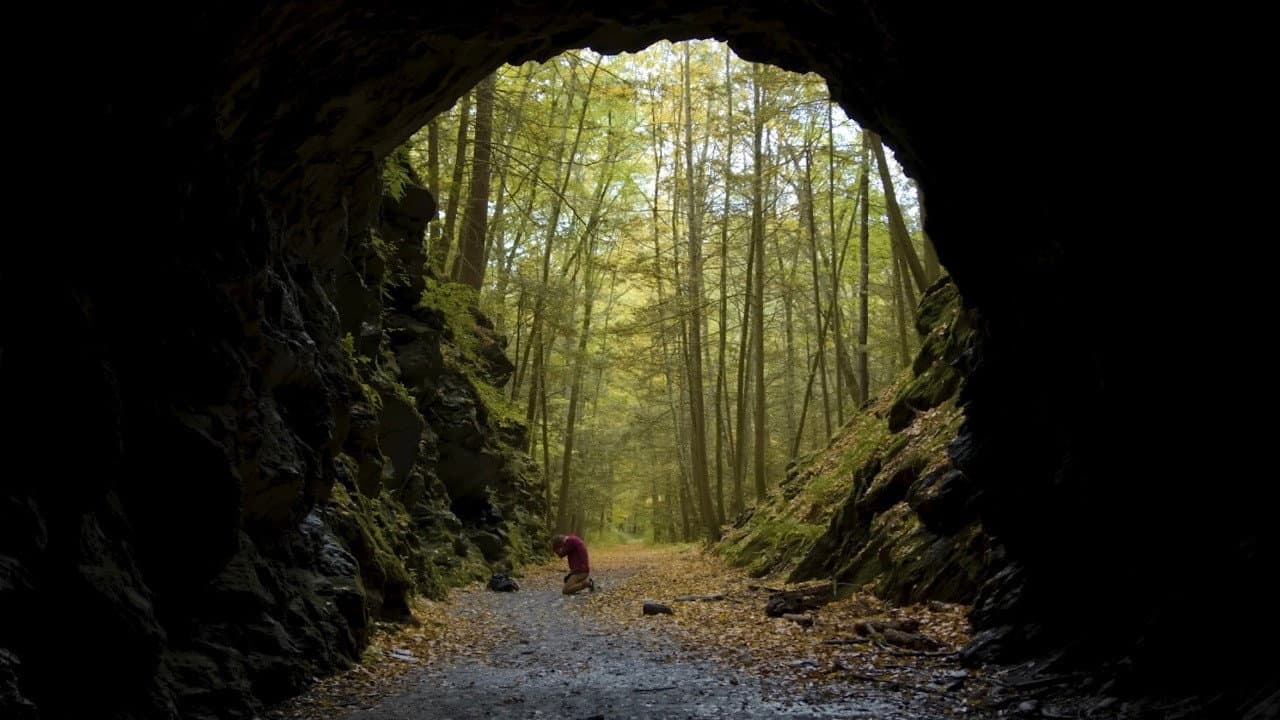 Backdrop – Tunnel