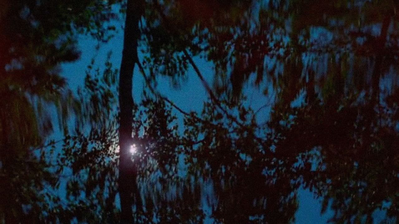 Backdrop – Väreitä