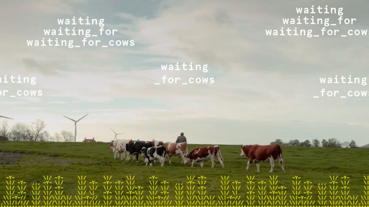 Backdrop – waiting_for_cows