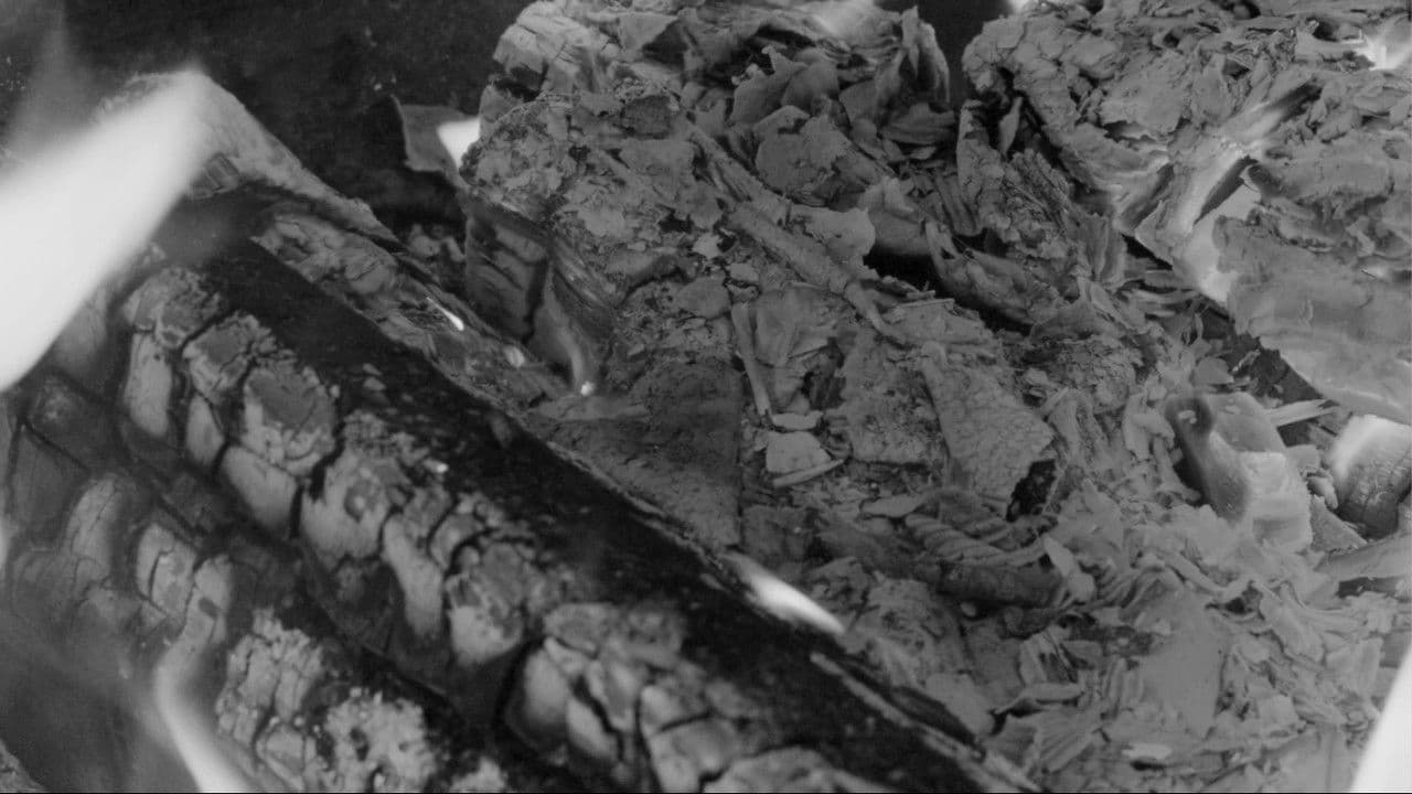 Backdrop – Afterparty