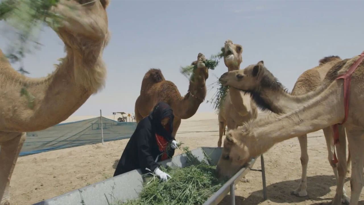 Backdrop – سماء قريبة
