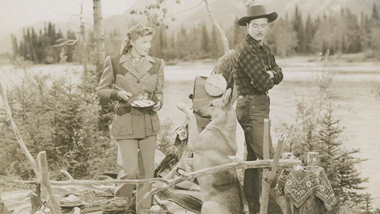 Backdrop – Silberkönig