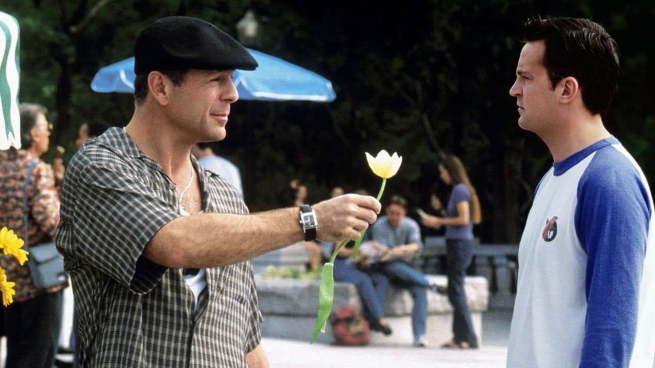 Backdrop – Keine halben Sachen