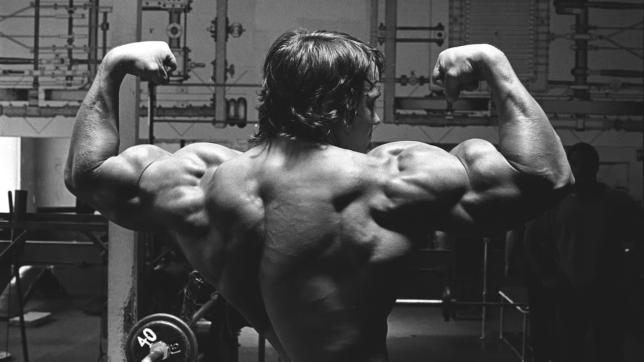 Backdrop – Pumping Iron