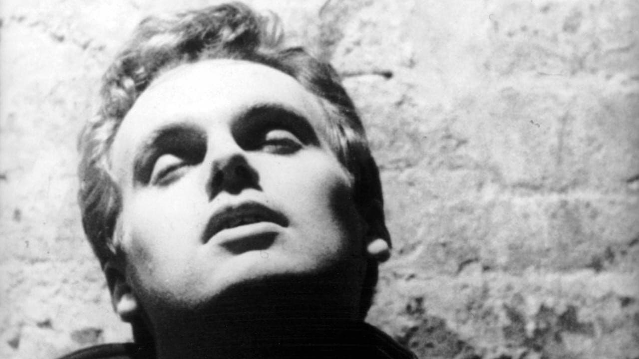 Backdrop – Blow Job