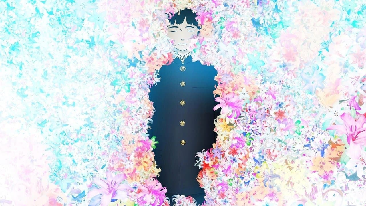 Backdrop – Colorful