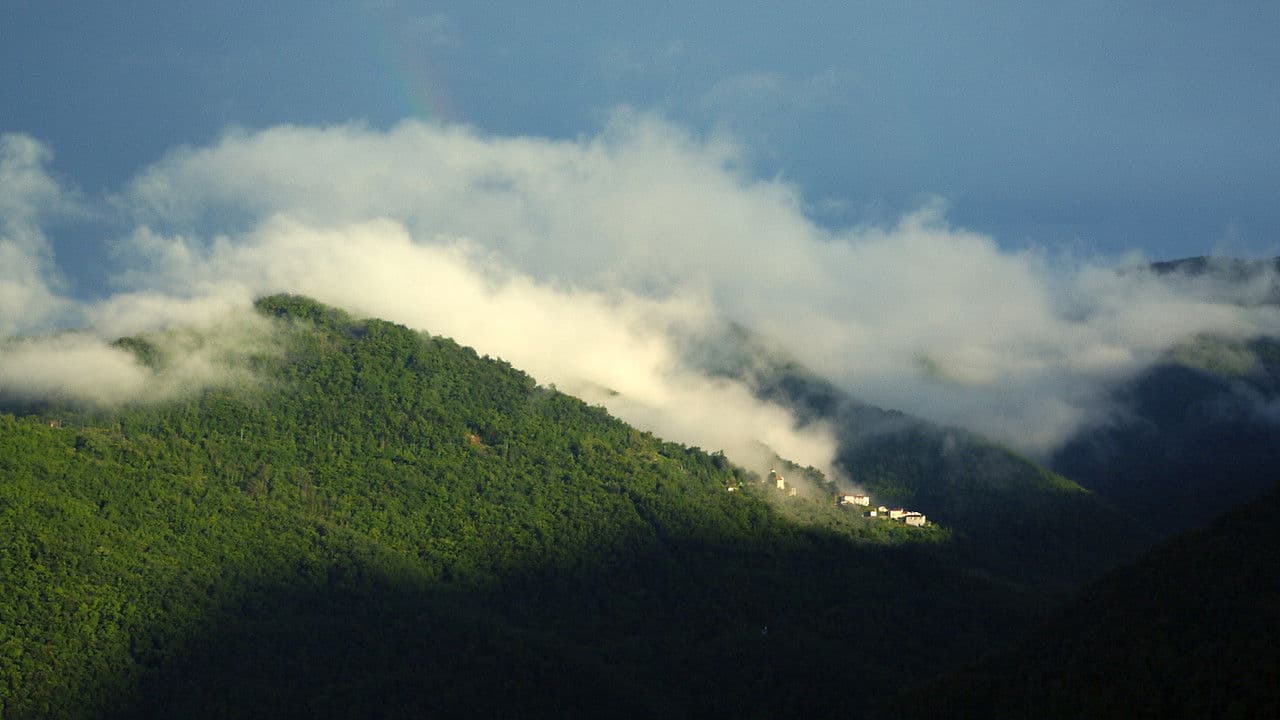 Backdrop – ciao Aracà