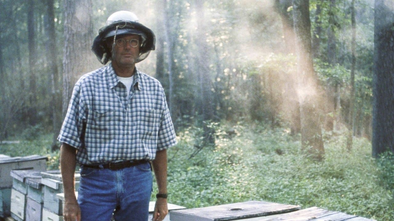 Backdrop – Ulee's Gold