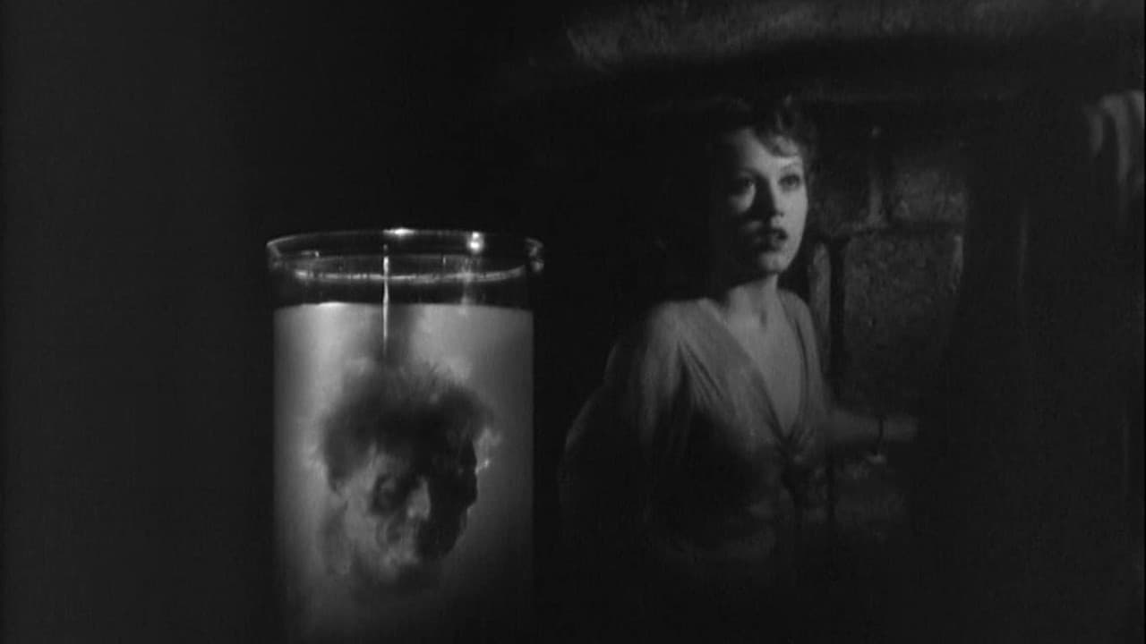 Backdrop – Graf Zaroff - Genie des Bösen