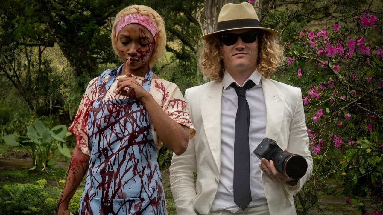 Backdrop – Malvatrem