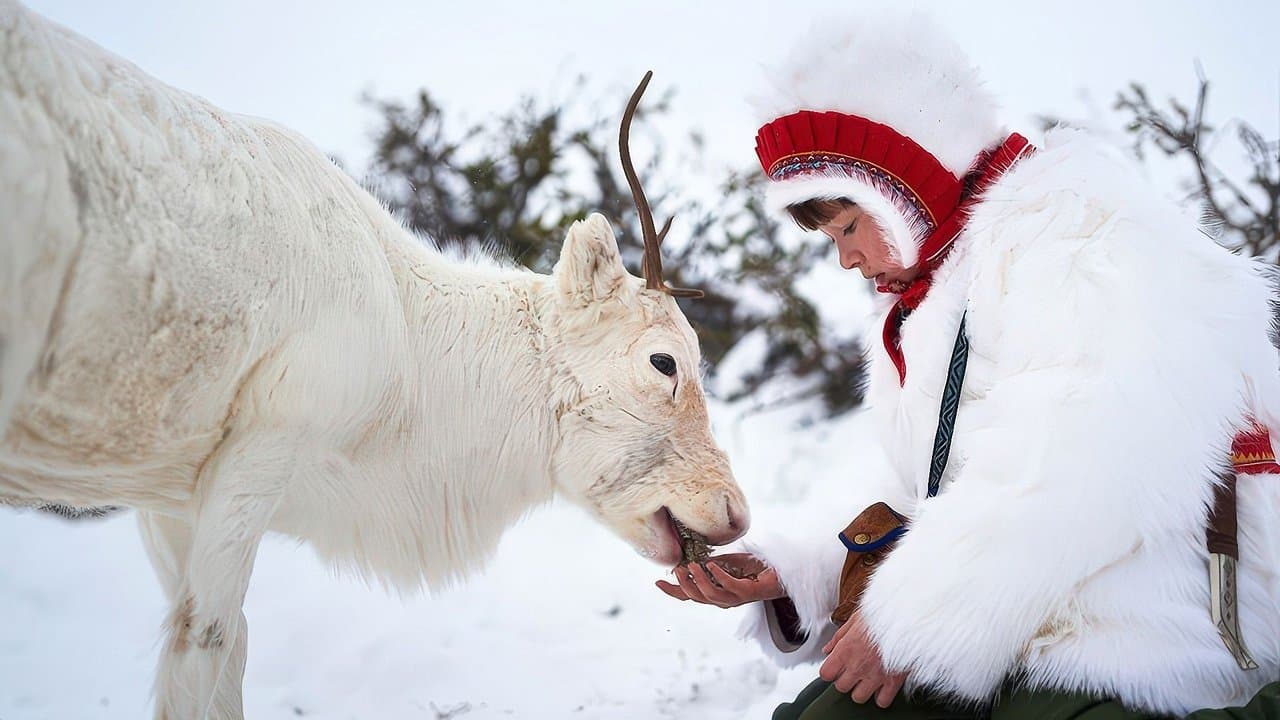 Backdrop – Das Leuchten der Rentiere