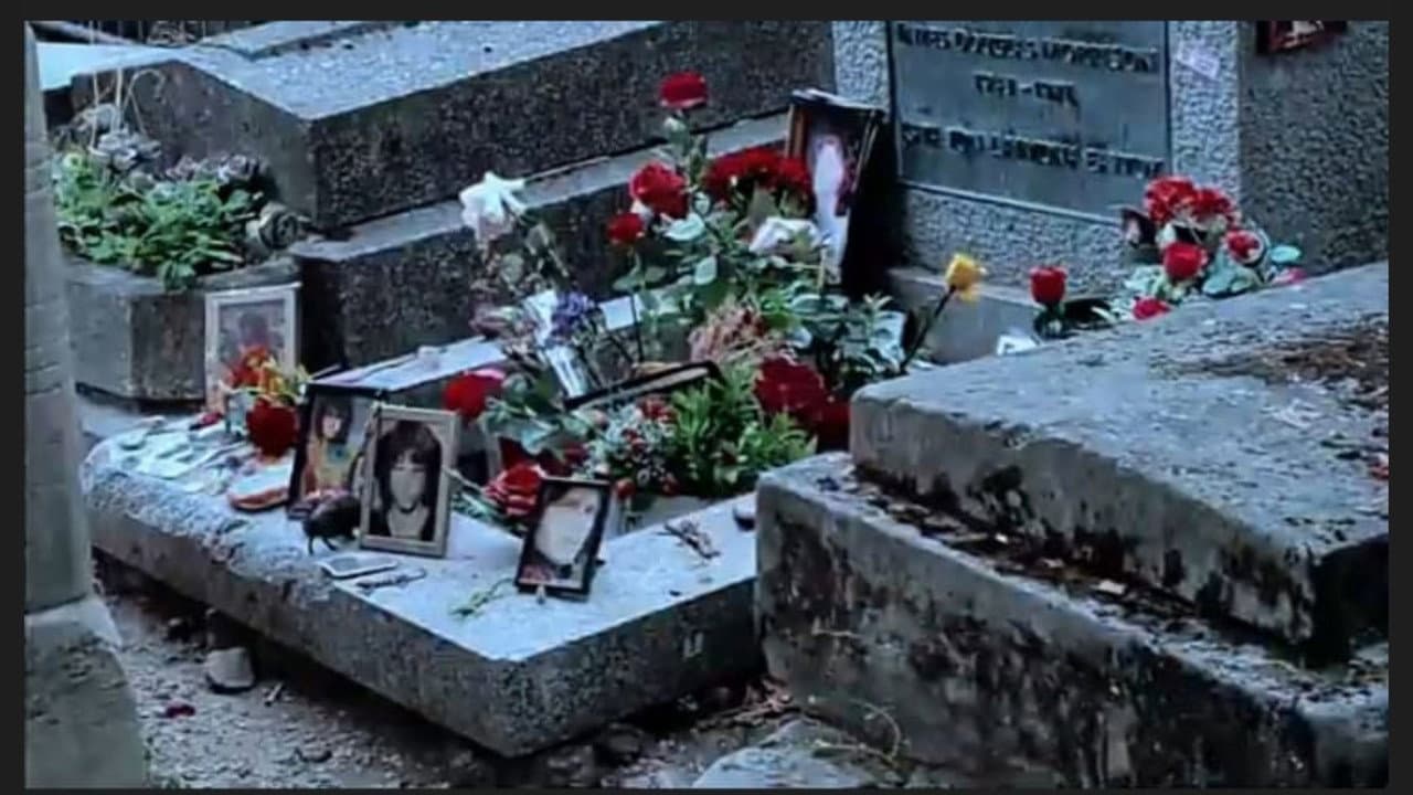 Backdrop – Life isn't a Godard Film