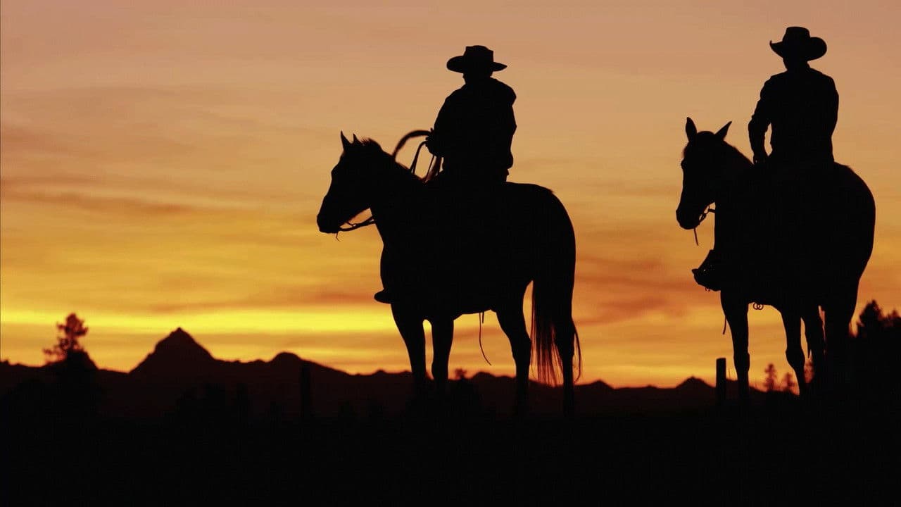 Backdrop – The Cowboy