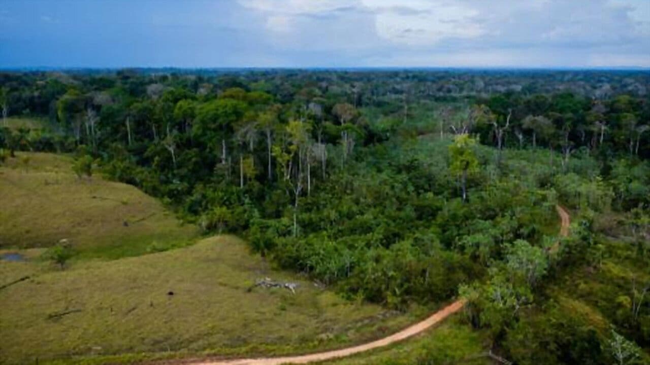 Backdrop – BR Acima de Tudo