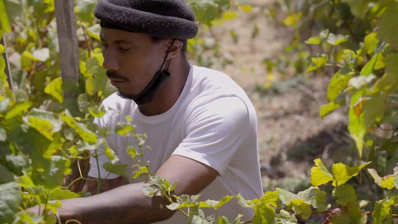 Backdrop – The Two Eighty Project