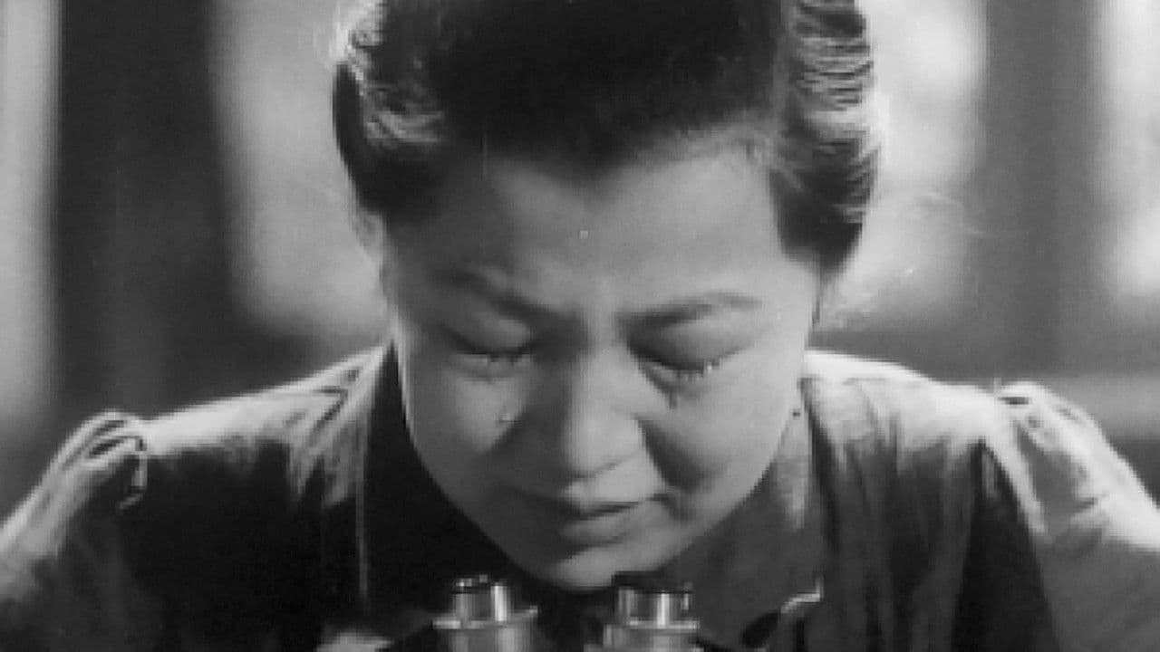 Backdrop – Am allerschönsten