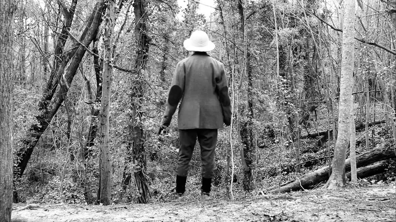Backdrop – The Adventures of Hector Westwood: The Cult of Evil