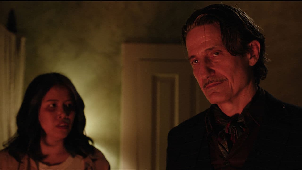 Backdrop – swallows燕子