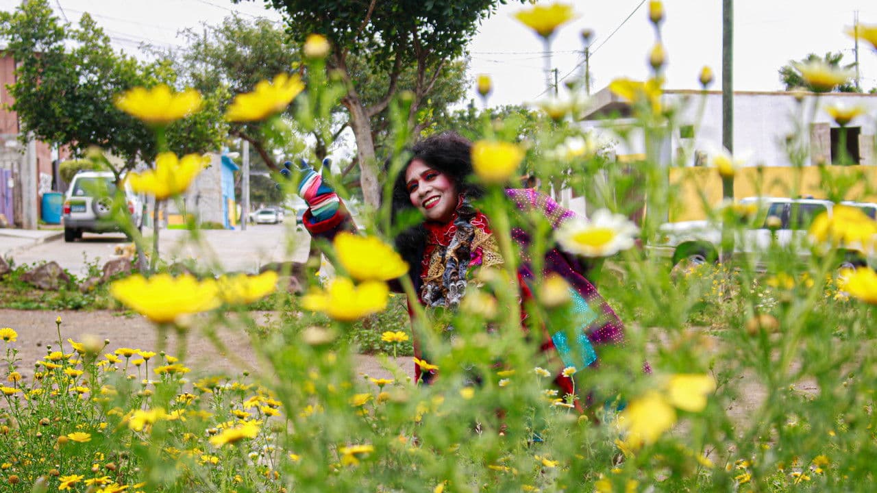 Backdrop – La loca no tiene con quién platicar