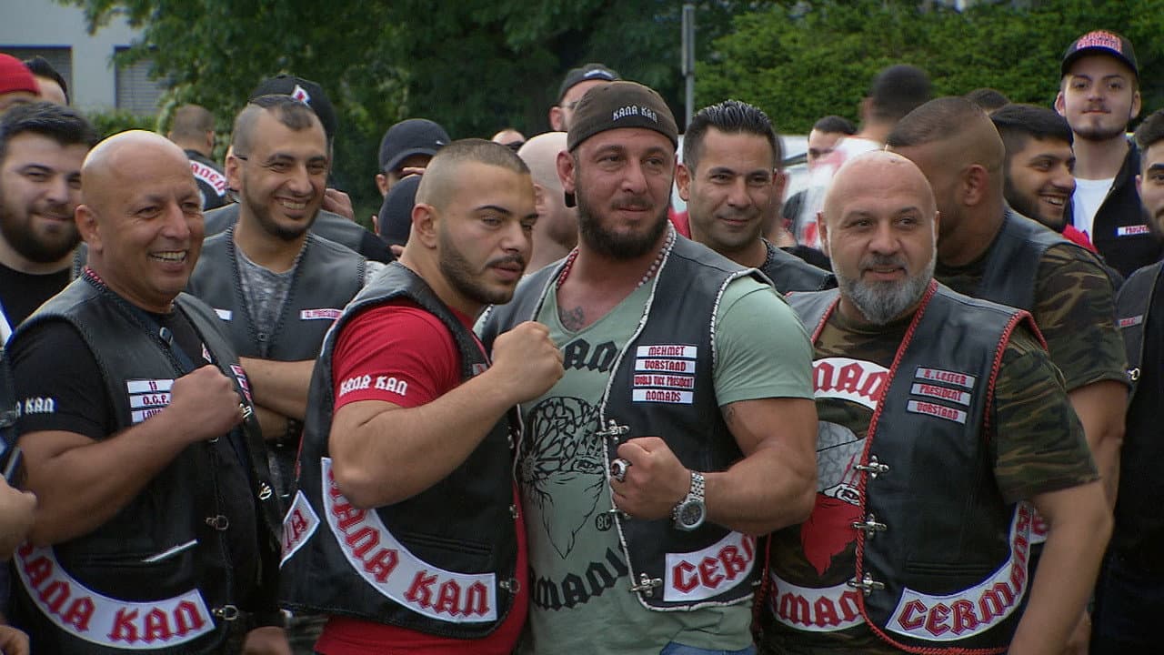 Backdrop – Osmanen Germania OGBC - Rockers oder Boxclub?