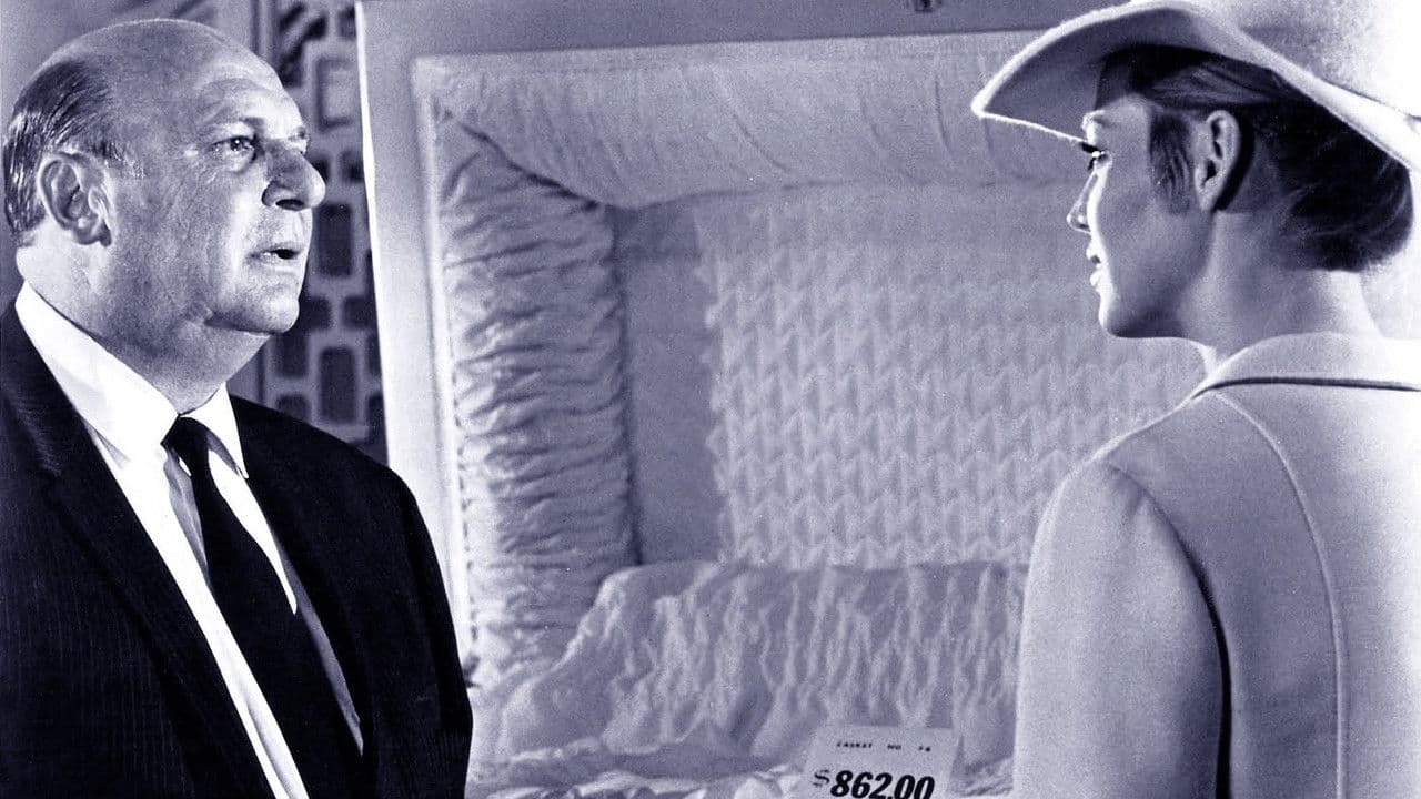 Backdrop – Rogue's Gallery