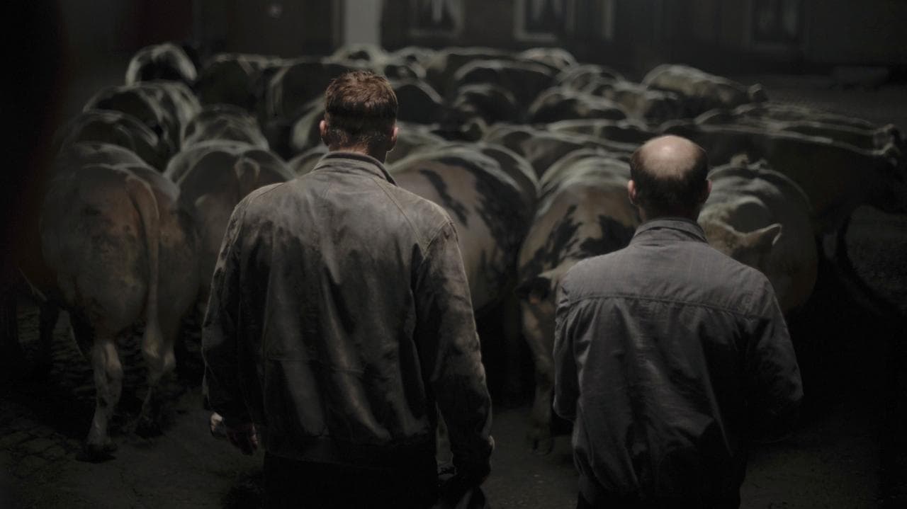 Backdrop – Bullhead