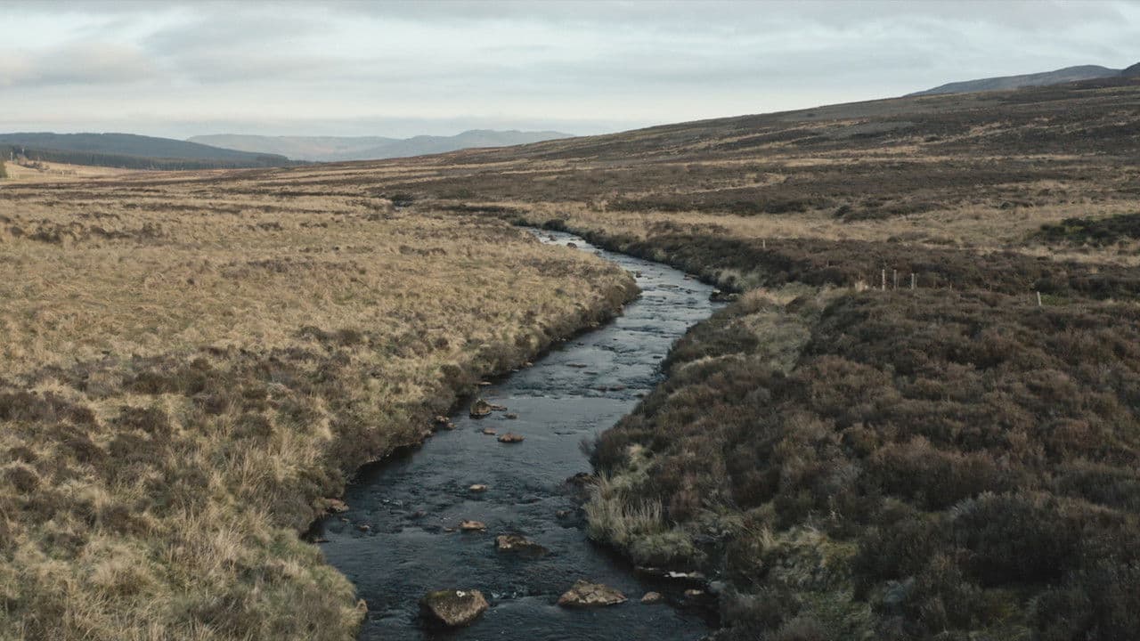 Backdrop – The New Spirit of Whisky