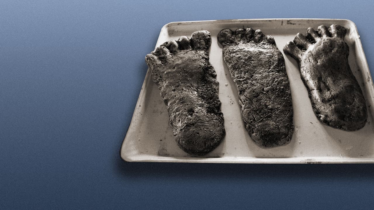 Backdrop – Hunt for the Abominable Snowman