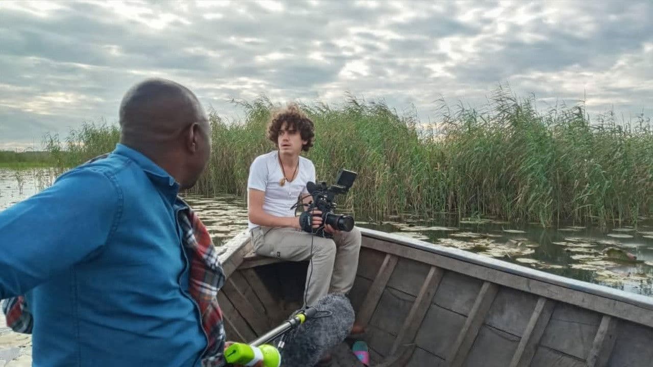 Backdrop – The Cost of Cobalt