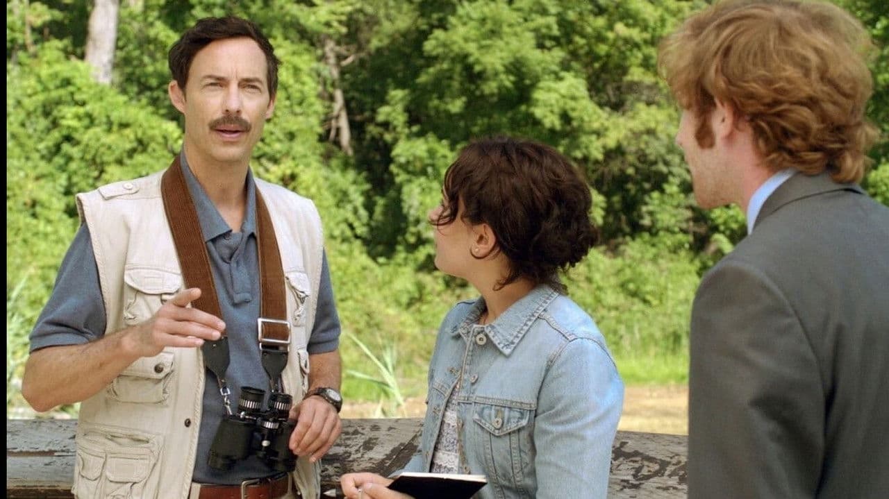 Backdrop – The Birder