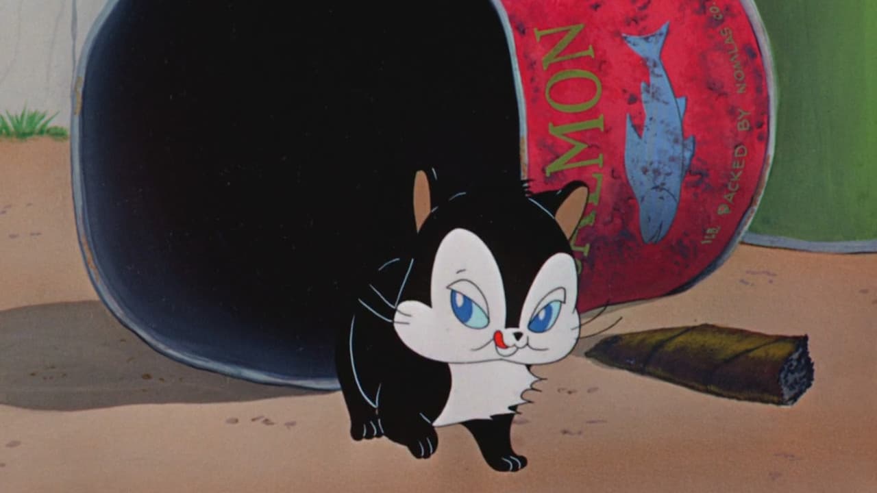 Backdrop – Fresschen für's Kätzchen