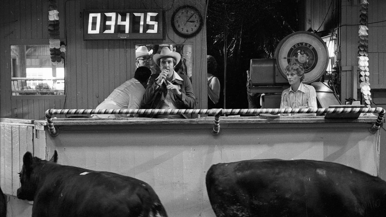 Backdrop – How Much Wood Would a Woodchuck Chuck: Beobachtungen zu einer neuen Sprache