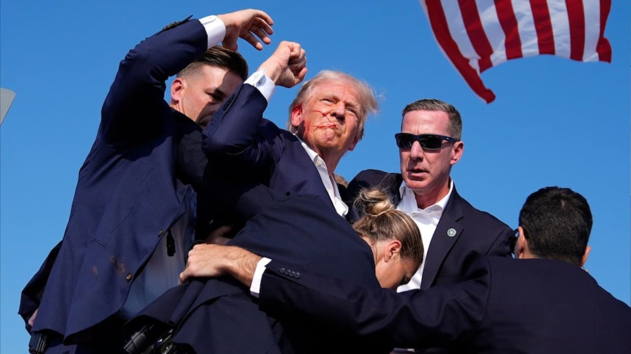 Backdrop – Vindicating Trump