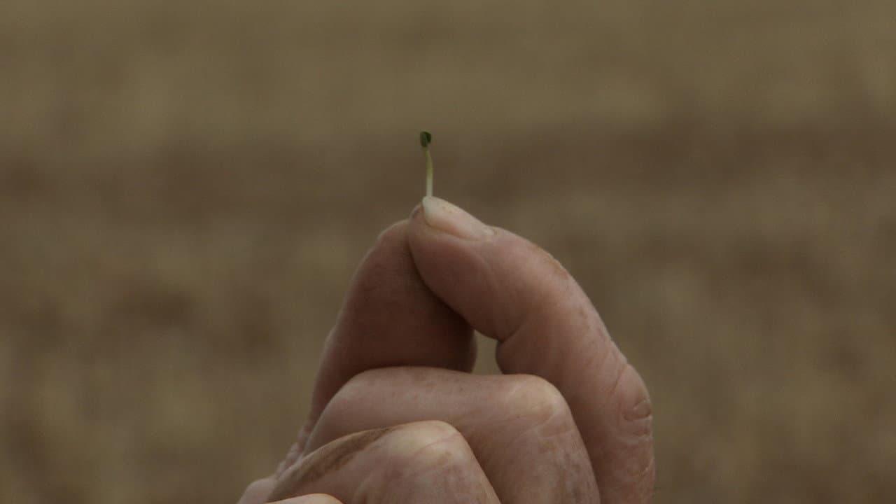 Backdrop – Without Water