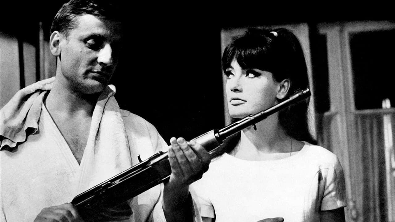 Backdrop – Paras - Goldstaub in der Luft