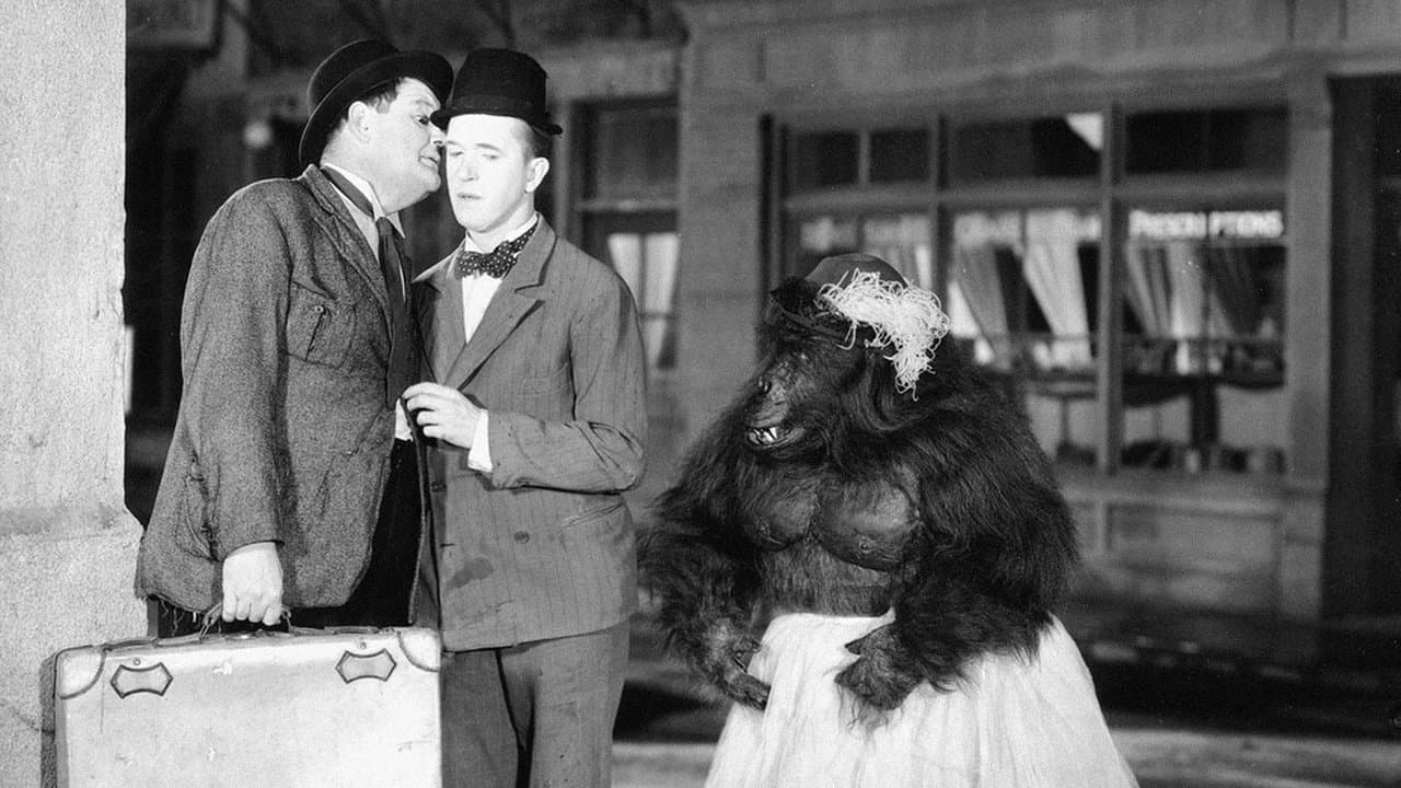 Backdrop – Dick und Doof in der Manege