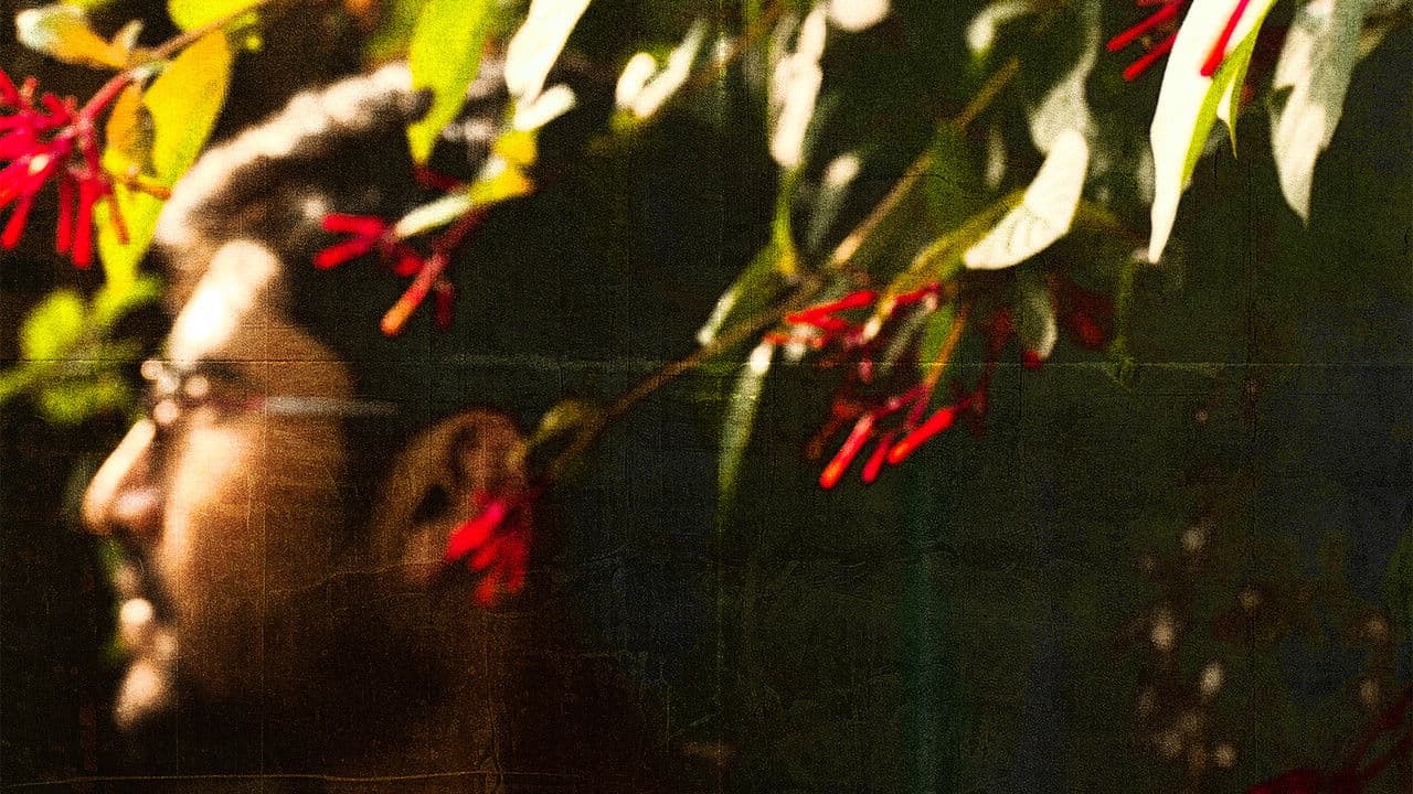 Backdrop – मरासिम